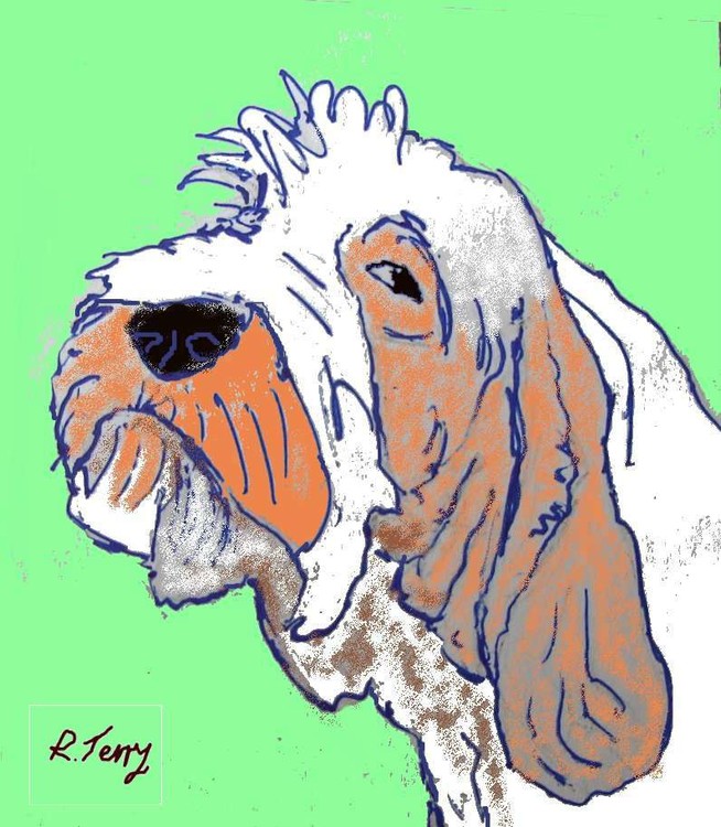 italianspinone