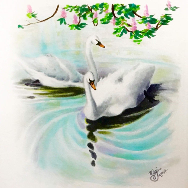 Swans