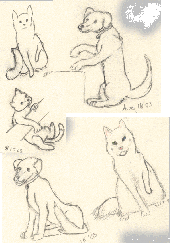 Some animal Sketches