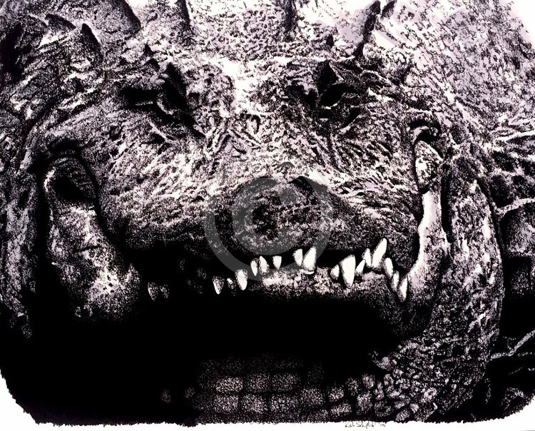 Gator