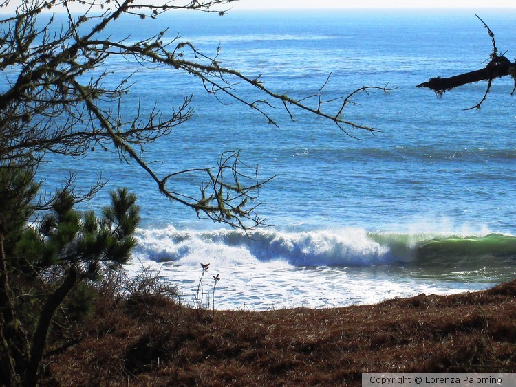 Ocean View