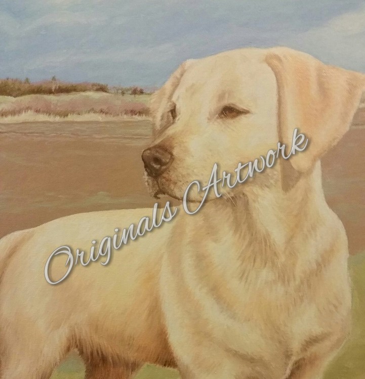 Golden Retriever