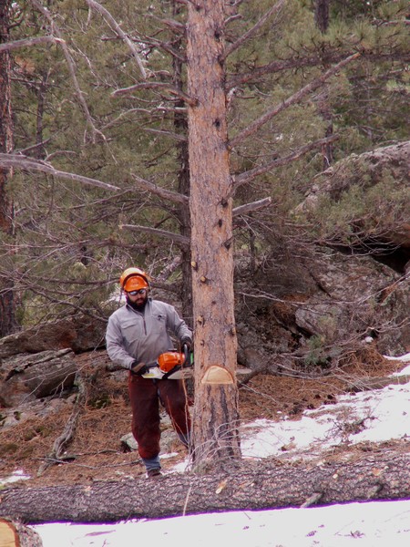 Colorado State Forest Service