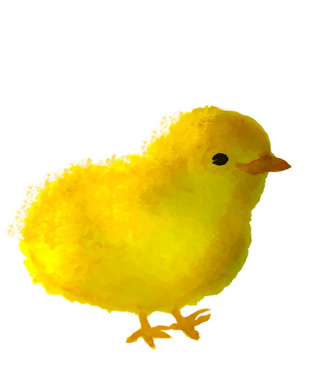 chick