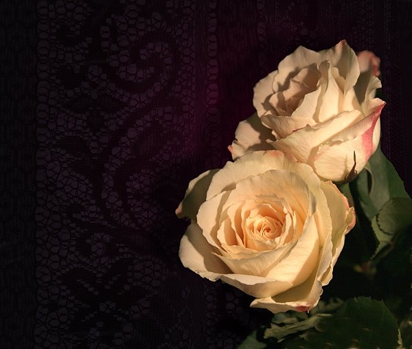 Happy Valentine's Day