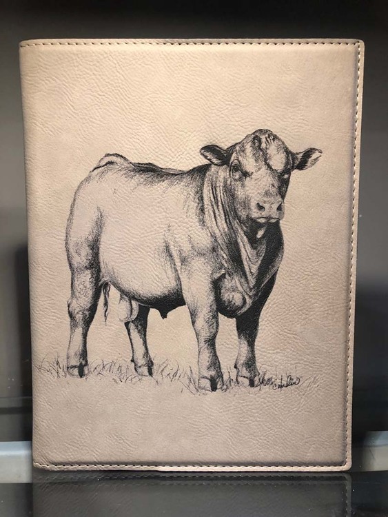 Bull sketch laser engraved