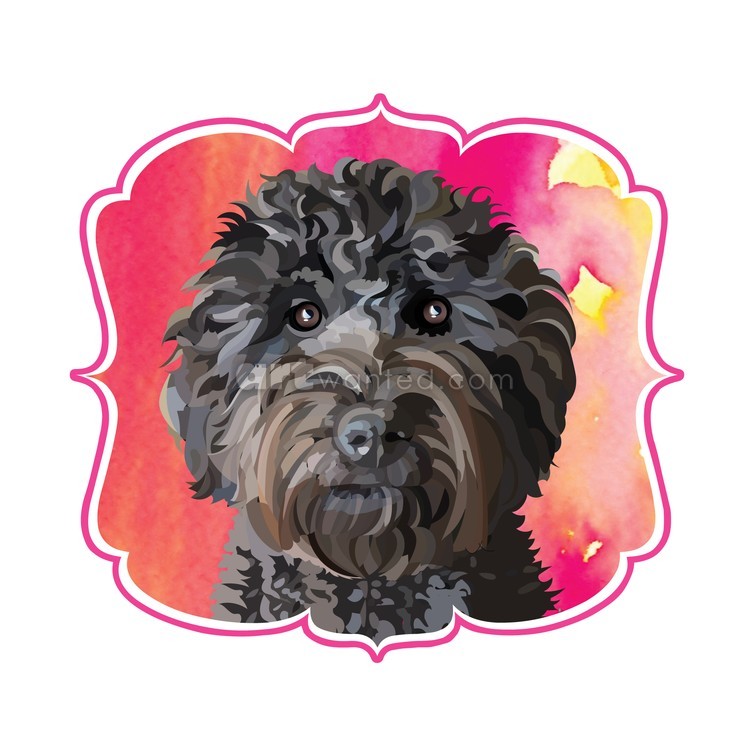 Black-Goldendoodle