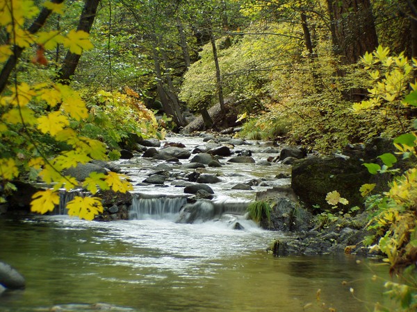 Crystal Creek Water Ditch 2