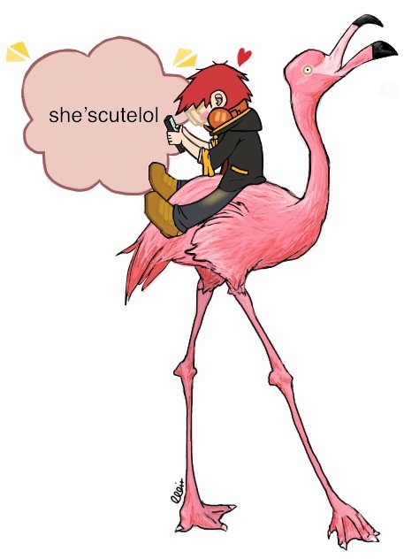707 on a Flamingo