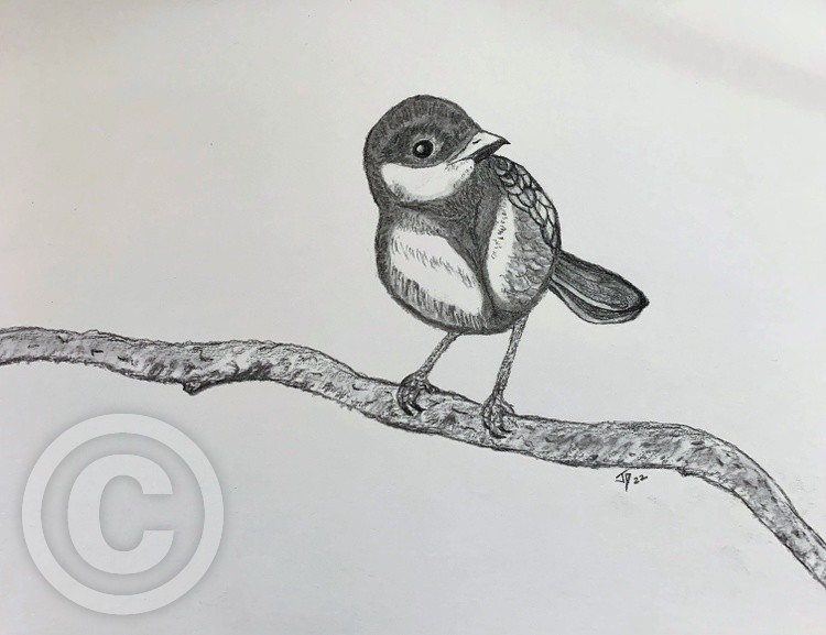 little charcoal bird 22 (2)