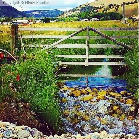 stream