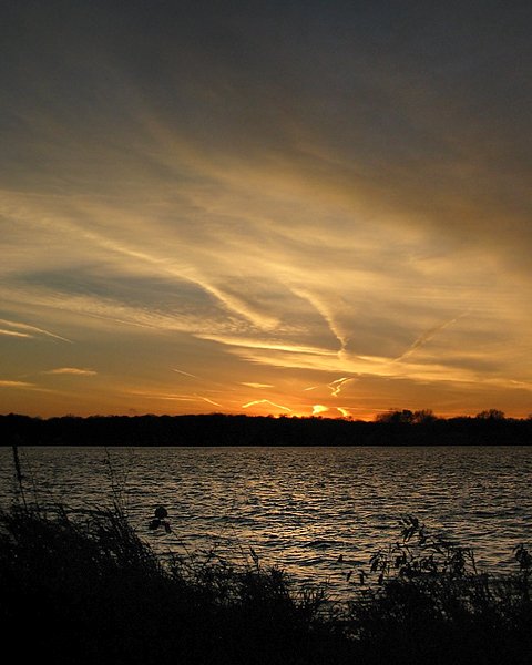 Summer Sunset