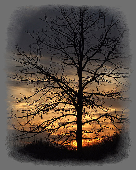A Winter Sunset