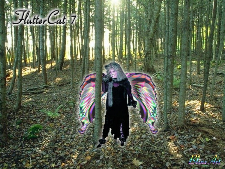 FlutterCat7