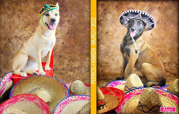 KAREN MURO DOGS
