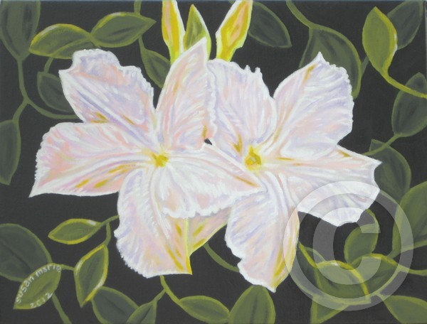 Jasmine