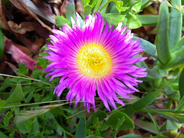 DSCF0011