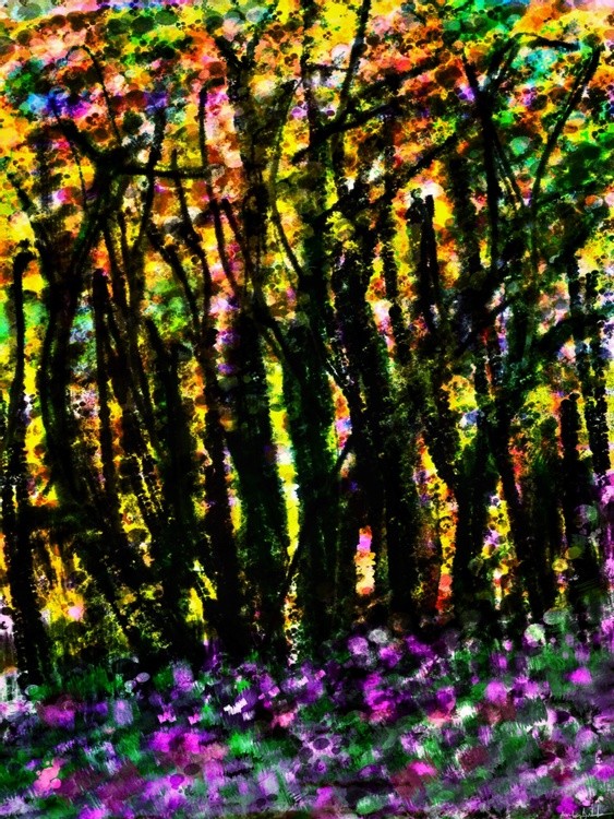 Woods in dusk light