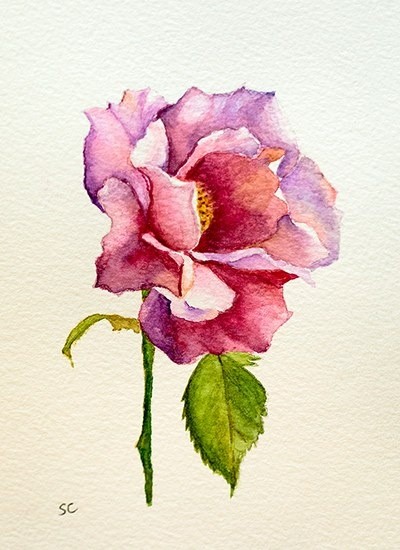 Rose