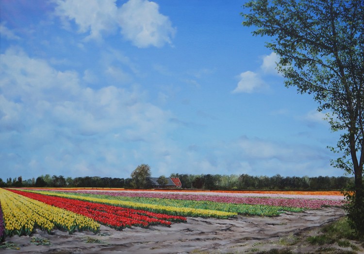 Bollenveld Lisse /Dutch  Flower fields
