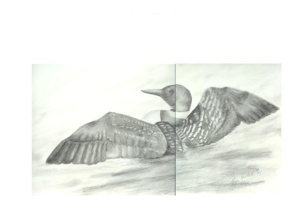 Loon