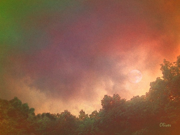 Bad Moon Rising