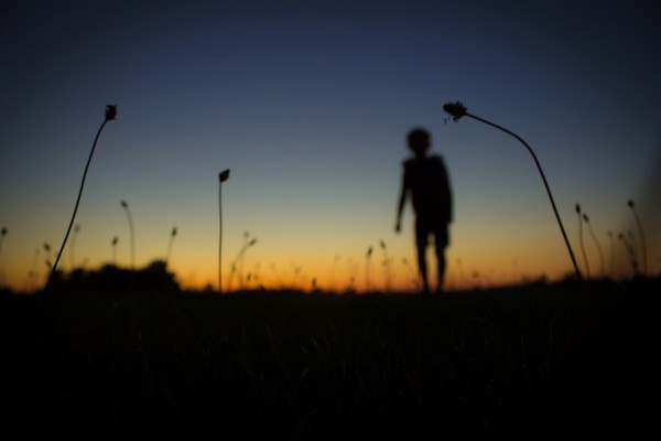 Sunset Pixie (19)