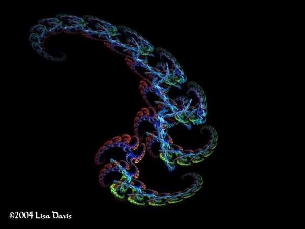 Coil