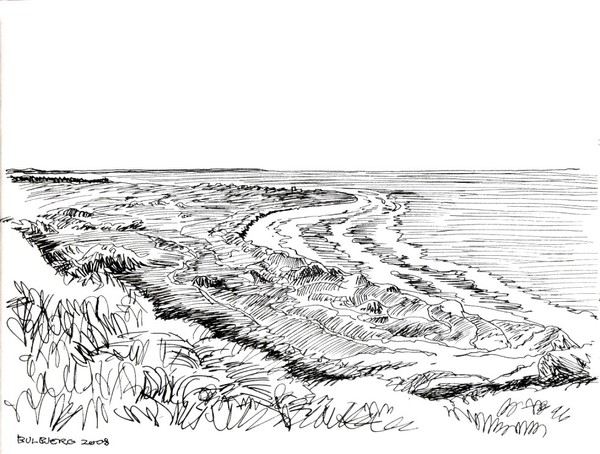 dunes at the westcoast