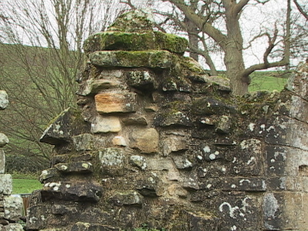 296. Also from Fountains Abbey...