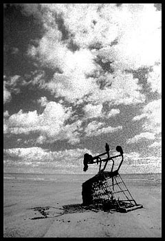 Shopping Trolley, Kirkcaldy Beach