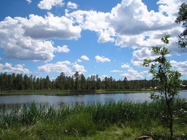 The Lakeside