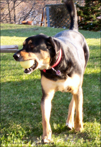Action Charlie
