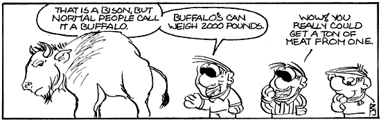 Ton of Meat