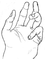 L hand