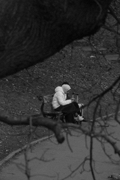 TreeView