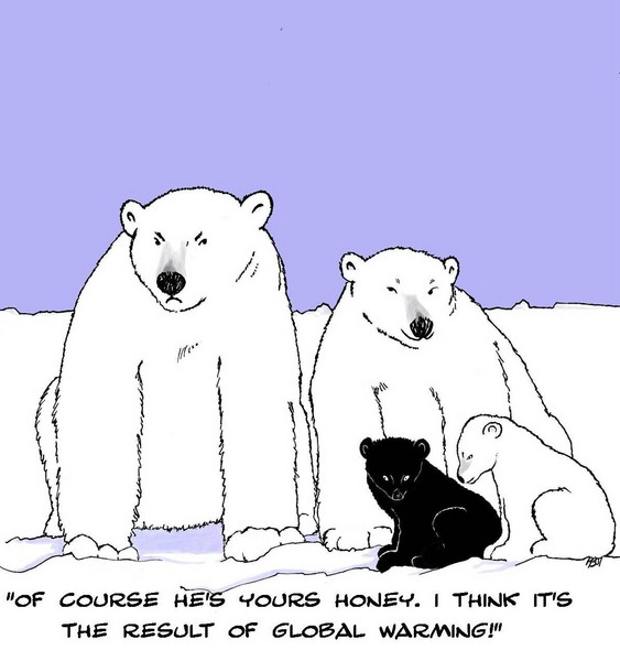 Polar Bears