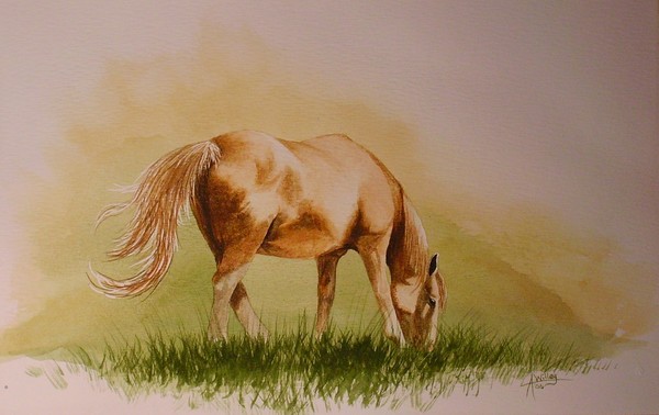 Bar-T Mare #5