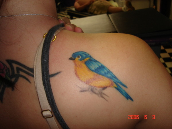 bluebird of Happiness