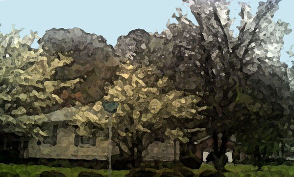 Neighborhood4