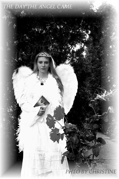 THE DAY THE ANGEL CAME