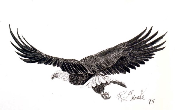 Soaring