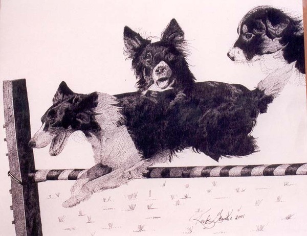 Three Generations dog's