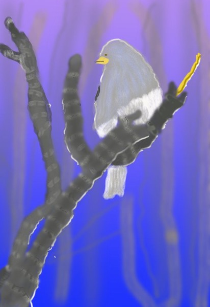 O341 vBlue Bird