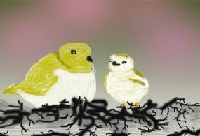 O547 Piping Plover and Chick