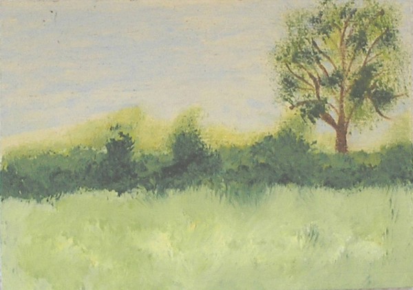 Original Mini Landscape #2
