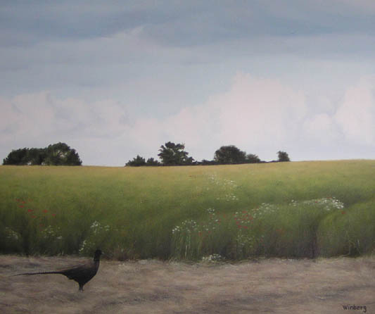 Pheasant
