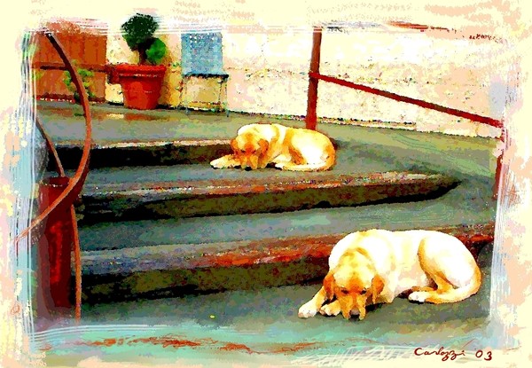 Sleeping Guardians