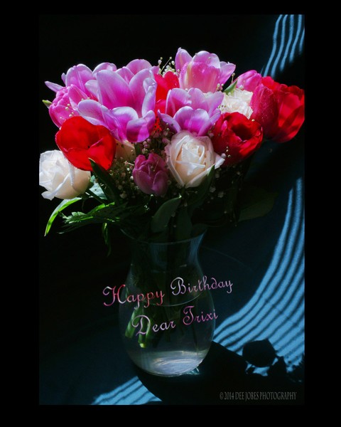 Happy Birthday  Trixi