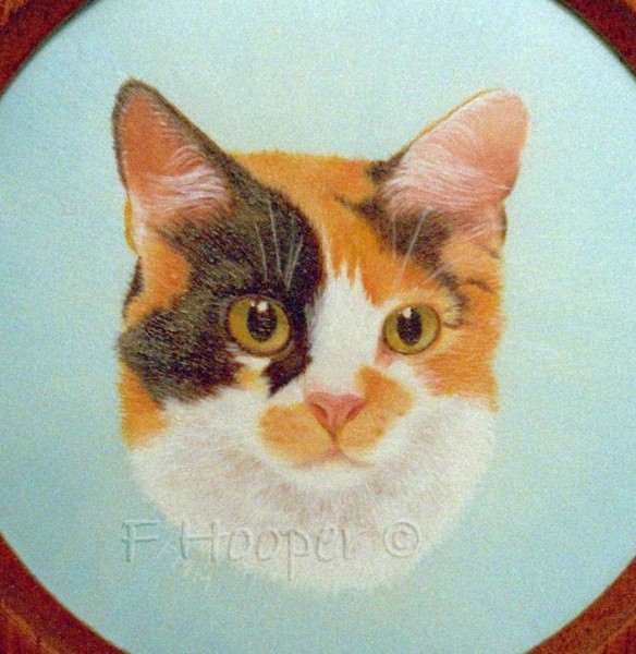 Tortoiseshell cat (miniature)